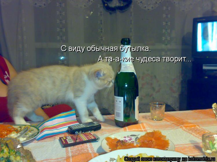 С виду обычная бутылка. А та-а-кие чудеса творит...... Котоматрица: С виду обычная бутылка. А та-а-кие чудеса творит...