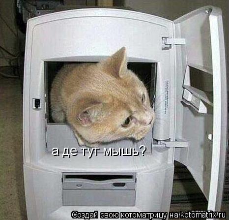 а де тут мышь?... Котоматрица: а де тут мышь?