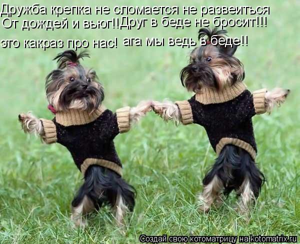 Дружба крепка не сломается не развеиться От дождей и вьюг!! это какраз про нас! ага мы ведь в беде!! ... Котоматрица: Дружба крепка не сломается не развеиться От дождей и вьюг!! это какраз про нас! ага мы ведь в беде!! Друг в беде не бросит!!!