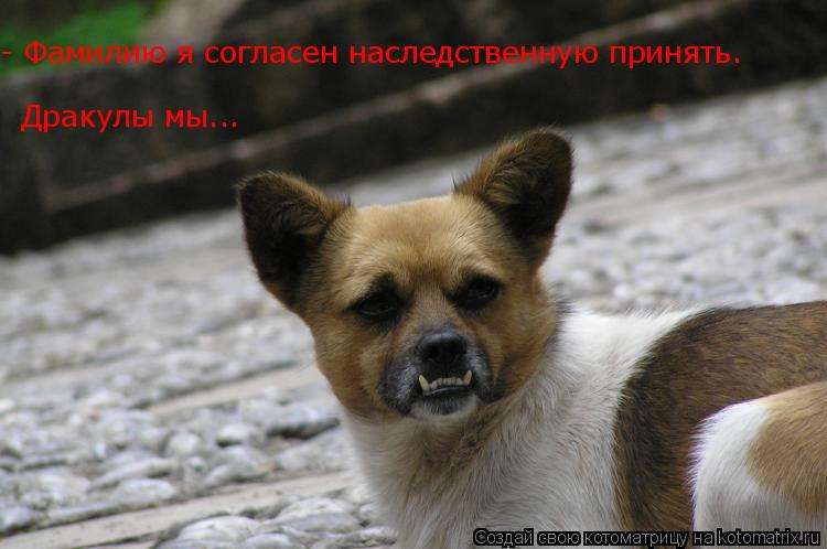 - Фамилию я согласен наследственную принять. Дракулы мы...... Котоматрица: - Фамилию я согласен наследственную принять. Дракулы мы...
