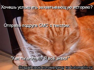Отправь подруге СМС с текстом: "Как ты могла!? Я всё знаю!" Хочешь услышать захватывающую историю?... Котоматрица: Отправь подруге СМС с текстом: "Как ты могла!? Я всё знаю!" Хочешь услышать захватывающую историю?