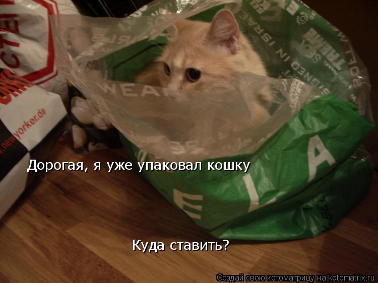 Котоматрица: Дорогая, я уже упаковал кошку Куда ставить?