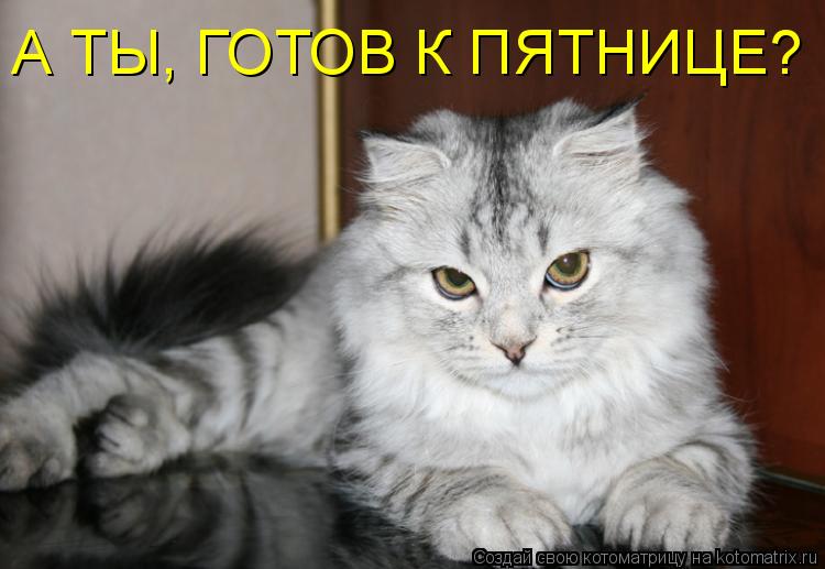 А ТЫ, ГОТОВ К ПЯТНИЦЕ?... Котоматрица: А ТЫ, ГОТОВ К ПЯТНИЦЕ?