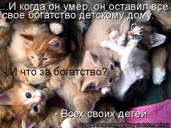 ...И когда он умер, он оставил все свое богатство детскому дому. свое богатство детскому дому. - ... Котоматрица: ...И когда он умер, он оставил все свое богатство детскому дому. свое богатство детскому дому. - И что за богатство? - Всех своих детей...