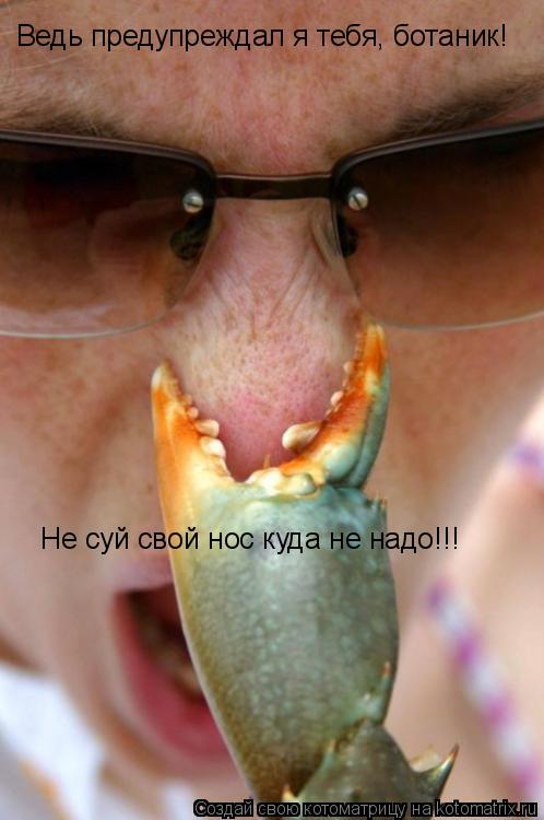 Котоматрица: Ведь предупреждал я тебя, ботаник! Не суй свой нос куда не надо!!!