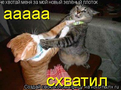 не хвотай меня за мой новый зелёный плоток схватил ааааа... Котоматрица: не хвотай меня за мой новый зелёный плоток схватил ааааа