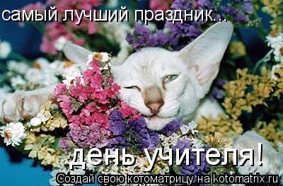 самый лучший праздник... день учителя!... Котоматрица: самый лучший праздник... день учителя!
