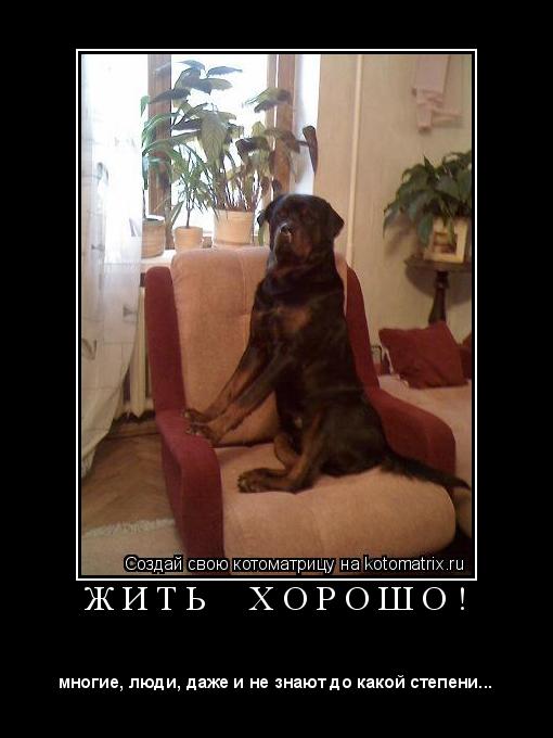 Ж И Т Ь Х О Р О Ш О ! ... Котоматрица: Ж И Т Ь Х О Р О Ш О !