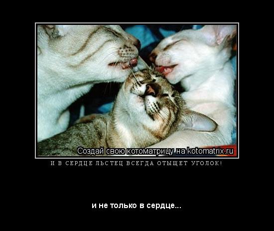 И В С Е Р Д Ц Е Л Ь С Т Е Ц В С Е Г Д А О Т Ы Щ Е Т У Г О Л О К ! ... Котоматрица: И В С Е Р Д Ц Е Л Ь С Т Е Ц В С Е Г Д А О Т Ы Щ Е Т У Г О Л О К !