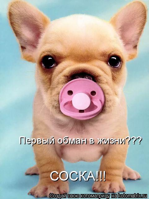 Первый обман в жизни??? СОСКА!!!... Котоматрица: Первый обман в жизни??? СОСКА!!!