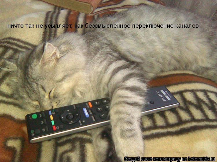 ничто так не усыпляет, как безсмысленное переключение каналов... Котоматрица: ничто так не усыпляет, как безсмысленное переключение каналов