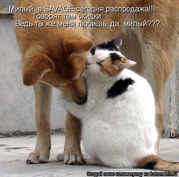 - Милый, в SAVAGE сегодня распродажа!!! Говорят там скидки... Ведь ты же меня любишь, да, милый???... Котоматрица: - Милый, в SAVAGE сегодня распродажа!!! Говорят там скидки... Ведь ты же меня любишь, да, милый???