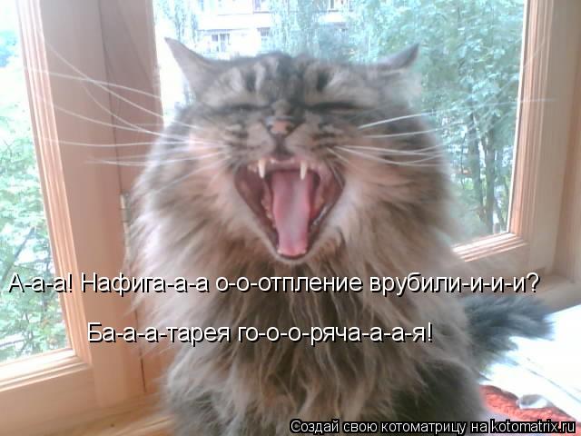 Котоматрица: А-а-а! Нафига-а-а о-о-отпление врубили-и-и-и? Ба-а-а-тарея го-о-о-ряча-а-а-я!