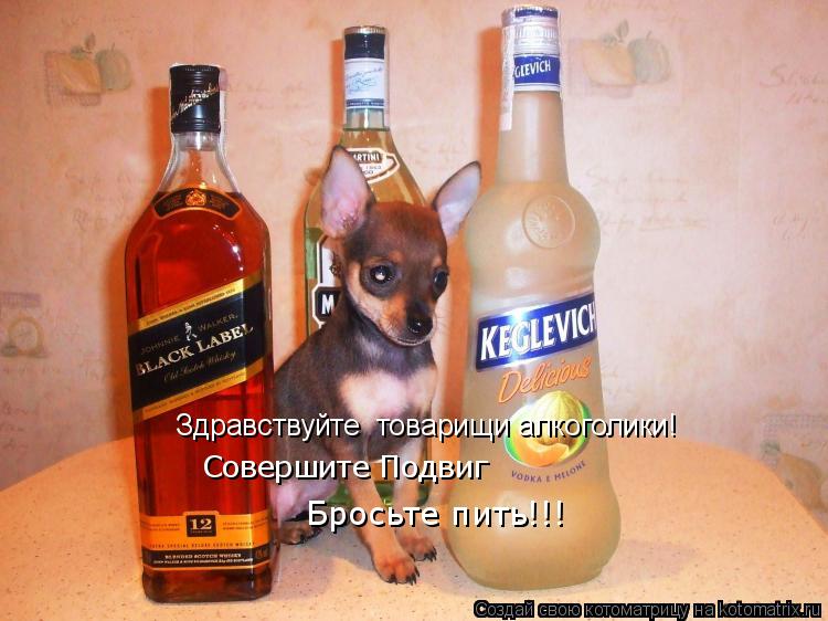 Здравствуйте товарищи алкоголики! Совершите Подвиг Бросьте пить!!!... Котоматрица: Здравствуйте товарищи алкоголики! Совершите Подвиг Бросьте пить!!!