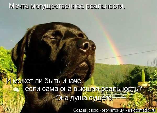 Котоматрица: Мечта могущественнее реальности.  И может ли быть иначе, если сама она высшая реальность?  Она душа сущего.
