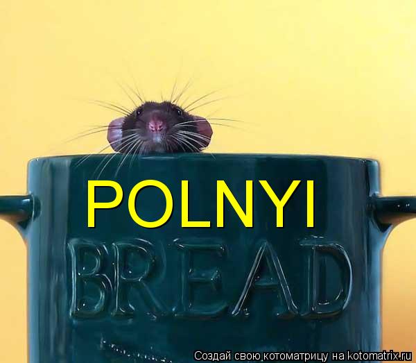 POLNYI... Котоматрица: POLNYI
