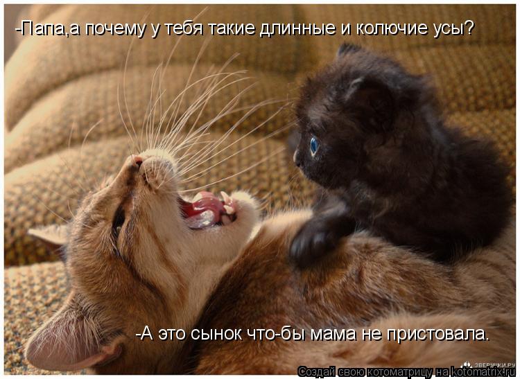 -Папа,а почему у тебя такие длинные и колючие усы? -А это сынок что-бы мама не пристовала.... Котоматрица: -Папа,а почему у тебя такие длинные и колючие усы? -А это сынок что-бы мама не пристовала.