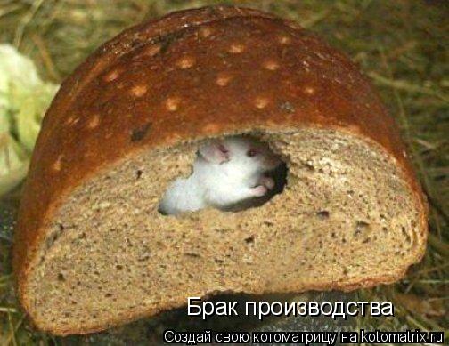 Брак производства... Котоматрица: Брак производства