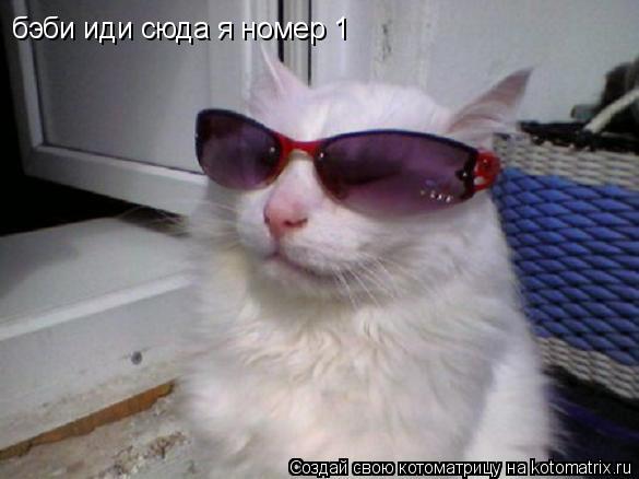 Котоматрица: бэби иди сюда я номер 1