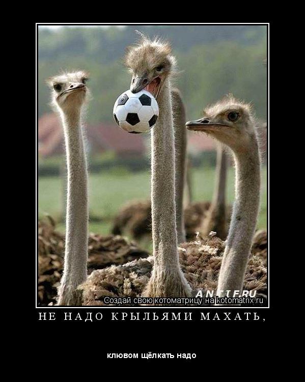 Котоматрица: Н Е   Н А Д О   К Р Ы Л Ь Я М И   М А Х А Т Ь , 