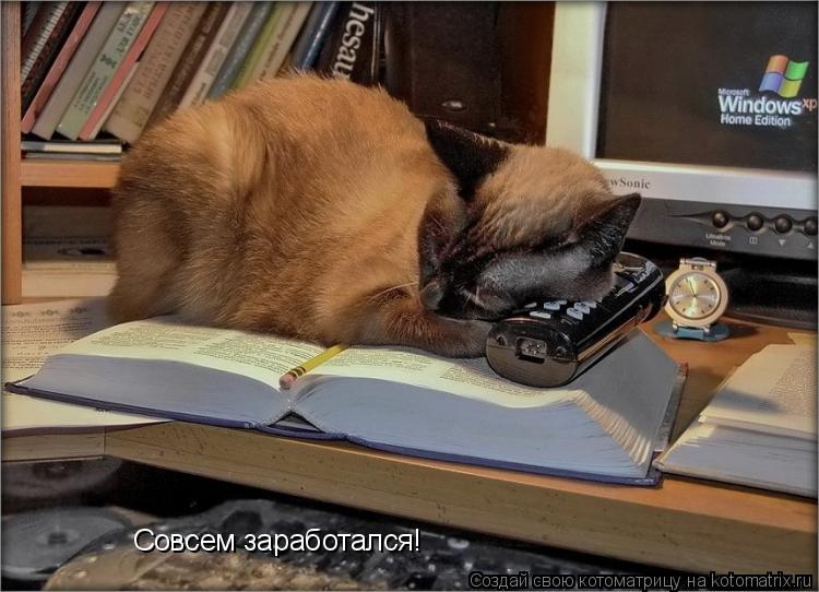 Совсем заработался!... Котоматрица: Совсем заработался!