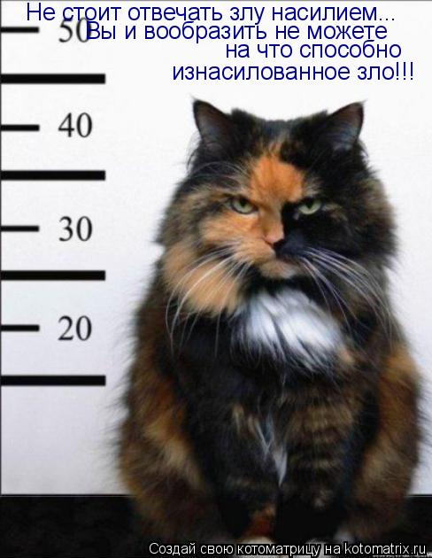 Не стоит отвечать злу насилием... Вы и вообразить не можете на что способно изнасилованное зло!!!... Котоматрица: Не стоит отвечать злу насилием... Вы и вообразить не можете на что способно изнасилованное зло!!!