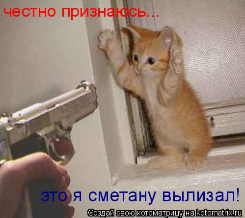 Котоматрица: честно признаюсь... это я сметану вылизал!