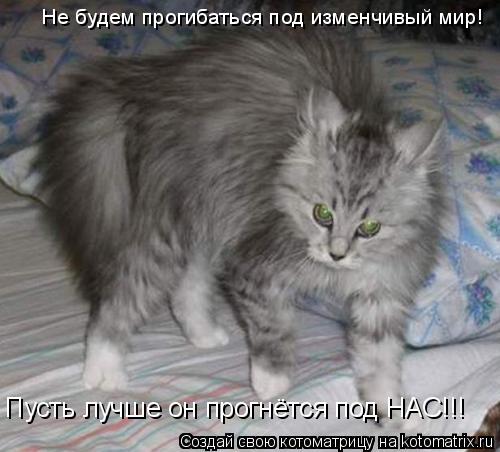 Не будем прогибаться под изменчивый мир! Пусть лучше он прогнётся под НАС!!!... Котоматрица: Не будем прогибаться под изменчивый мир! Пусть лучше он прогнётся под НАС!!!