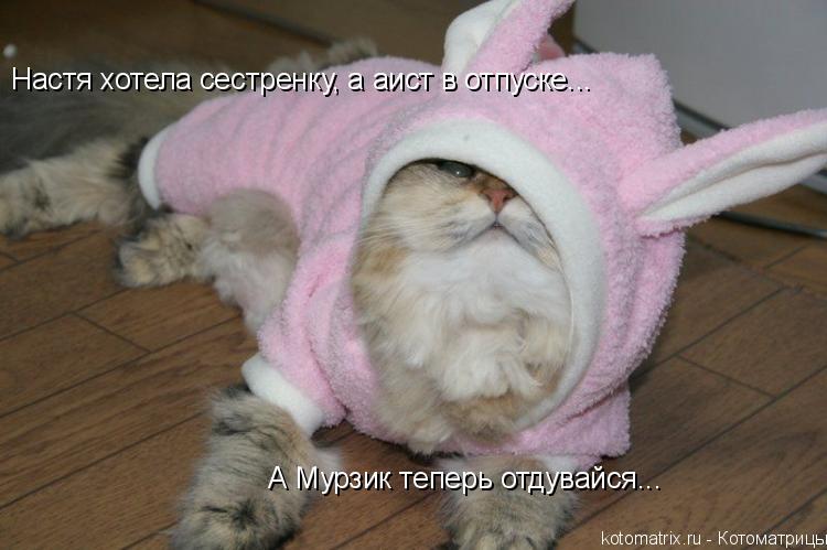 Настя хотела сестренку, а аист в отпуске... А Мурзик теперь отдувайся...... Котоматрица: Настя хотела сестренку, а аист в отпуске... А Мурзик теперь отдувайся...