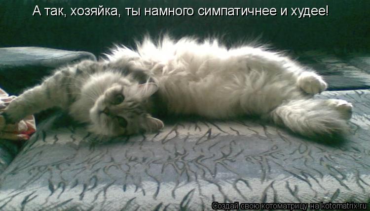 А так, хозяйка, ты намного симпатичнее и худее!... Котоматрица: А так, хозяйка, ты намного симпатичнее и худее!