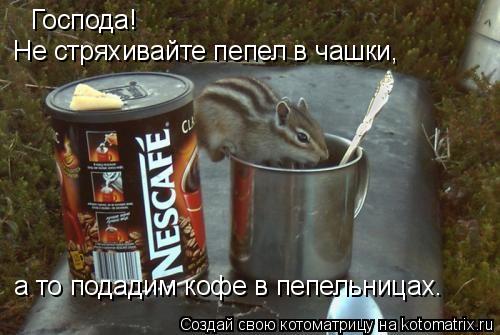 Господа! Не стряхивайте пепел в чашки, а то подадим кофе в пепельницах.... Котоматрица: Господа! Не стряхивайте пепел в чашки, а то подадим кофе в пепельницах.