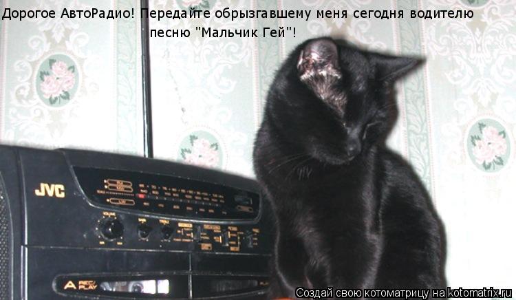 Котоматрица: Дорогое АвтоРадио! Передайте обрызгавшему меня сегодня водителю песню "Мальчик Гей"!
