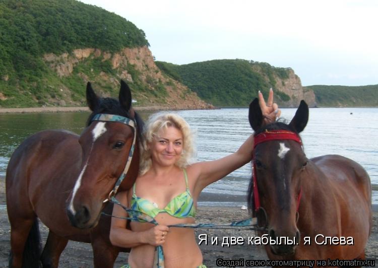 Я и две кабылы. я Слева... Котоматрица: Я и две кабылы. я Слева