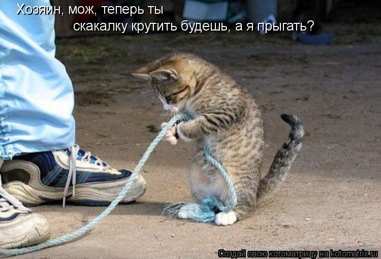 Хозяин, мож, теперь ты скакалку крутить будешь, а я прыгать?... Котоматрица: Хозяин, мож, теперь ты скакалку крутить будешь, а я прыгать?