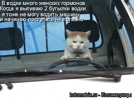 В водке много женских гормонов. Когда я выпиваю 2 бутылки водки я тоже не могу водить машину и начи... Котоматрица: В водке много женских гормонов. Когда я выпиваю 2 бутылки водки я тоже не могу водить машину и начинаю поступать не логично