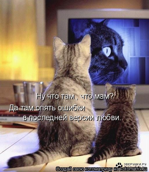 Котоматрица: Ну что там , что мам? Да там опять ошибки  в последней версии любви..