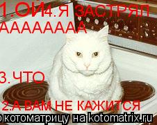Котоматрица: 1.ОЙ 2.А ВАМ НЕ КАЖИТСЯ 3.ЧТО 4.Я ЗАСТРЯЛ АААААААА