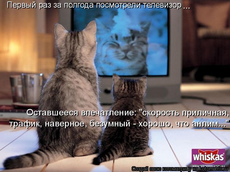 Котоматрица: Первый раз за полгода посмотрели телевизор Оставшееся впечатление: "скорость приличная, трафик, наверное, безумный - хорошо, что анлим..."   т
