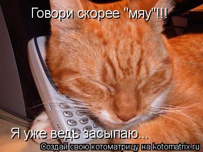 Говори скорее "мяу"!!! Я уже ведь засыпаю...... Котоматрица: Говори скорее "мяу"!!! Я уже ведь засыпаю...