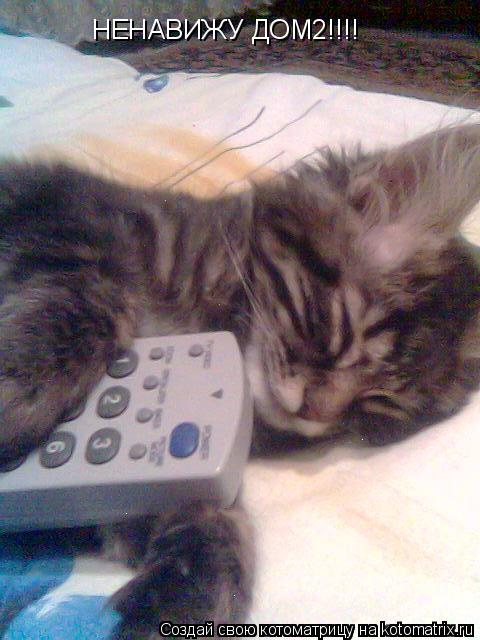 НЕНАВИЖУ ДОМ2!!!!... Котоматрица: НЕНАВИЖУ ДОМ2!!!!
