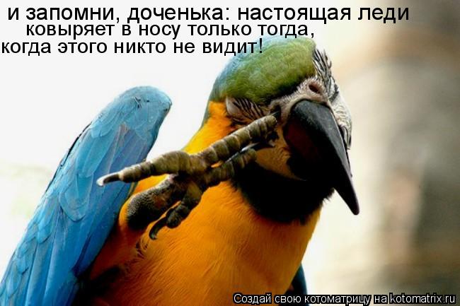 и запомни, доченька: настоящая леди ковыряет в носу только тогда, когда этого никто не видит!... Котоматрица: и запомни, доченька: настоящая леди ковыряет в носу только тогда, когда этого никто не видит!