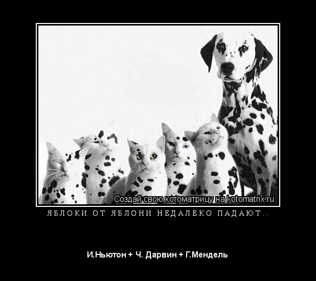 Я Б Л О К И О Т Я Б Л О Н И Н Е Д А Л Е К О П А Д А Ю Т . . ... Котоматрица: Я Б Л О К И О Т Я Б Л О Н И Н Е Д А Л Е К О П А Д А Ю Т . .