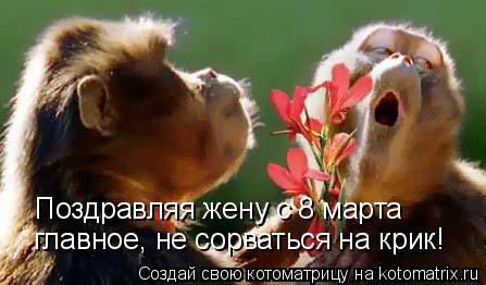 главное, не сорваться на крик! Поздравляя жену с 8 марта... Котоматрица: главное, не сорваться на крик! Поздравляя жену с 8 марта
