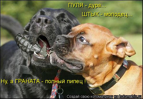 ПУЛЯ - дура... ШТЫК - молодец... Ну, а ГРАНАТА - полный пипец !... Котоматрица: ПУЛЯ - дура... ШТЫК - молодец... Ну, а ГРАНАТА - полный пипец !