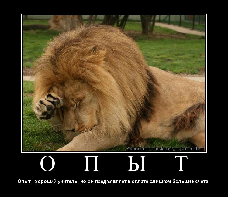 О П Ы Т ... Котоматрица: О П Ы Т
