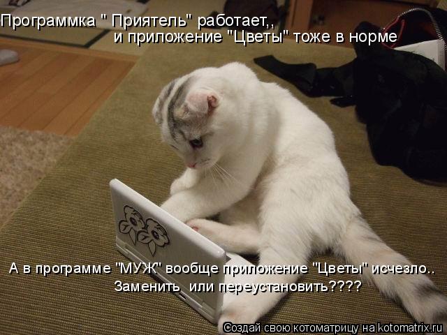 Котоматрица: Программка " Приятель" работает,, и приложение "Цветы" тоже в норме А в программе "МУЖ" вообще приложение "Цветы" исчезло.. Заменить  или переус