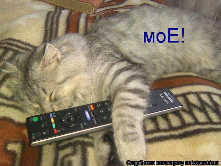моЕ!... Котоматрица: моЕ!