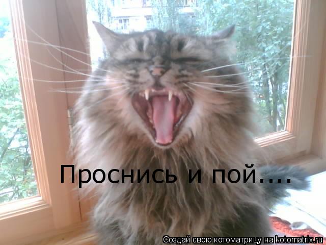 Котоматрица: Проснись и пой....