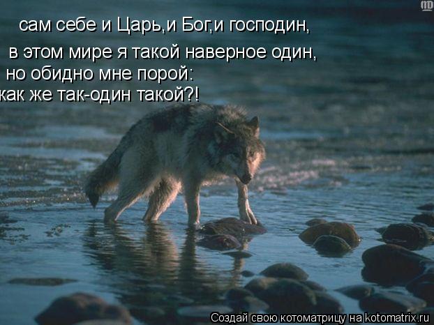 сам себе и Царь,и Бог,и господин, в этом мире я такой наверное один, но обидно мне порой: как же так-... Котоматрица: сам себе и Царь,и Бог,и господин, в этом мире я такой наверное один, но обидно мне порой: как же так-один такой?!