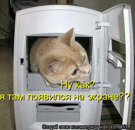 Котоматрица: Ну как?  я там появился на экране??